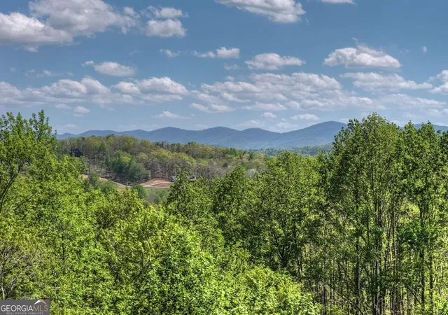 2nd image of 315 Blue Berry Rdg, Morganton, GA 30560 | MLS# 10737126