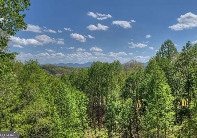 61st image of 315 Blue Berry Rdg, Morganton, GA 30560 | MLS# 10737126