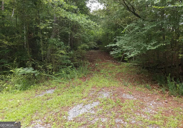 2nd image of 0 Potash Rd #19A019, Cedartown, GA 30125 | MLS# 10813570