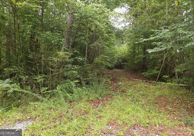 3rd image of 0 Potash Rd #19A019, Cedartown, GA 30125 | MLS# 10813570