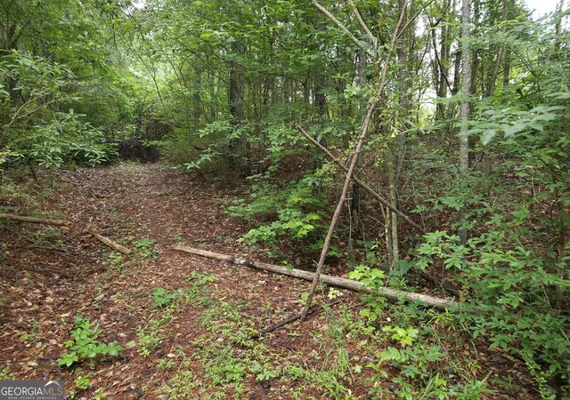 4th image of 0 Potash Rd #19A019, Cedartown, GA 30125 | MLS# 10813570