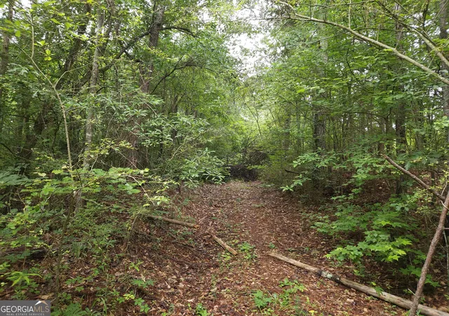 5th image of 0 Potash Rd #19A019, Cedartown, GA 30125 | MLS# 10813570