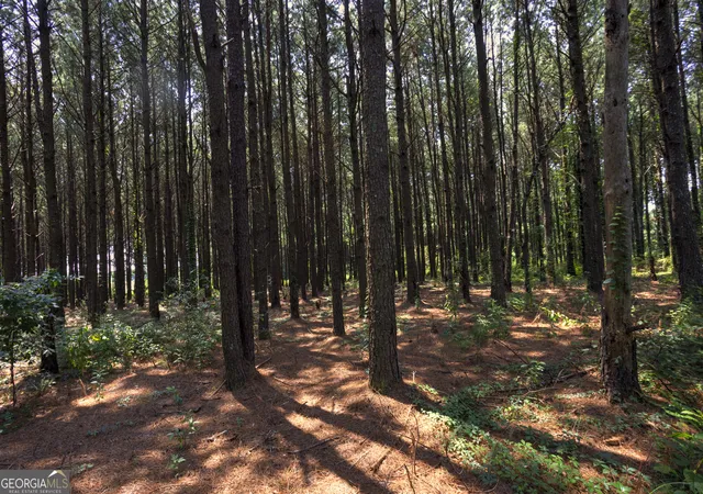 Photo 2 of Land for sale at 0 Northern County Line Rd, Unadilla, GA 31091 | MLS# 10816741 | Listing updated on 2026-08-22
