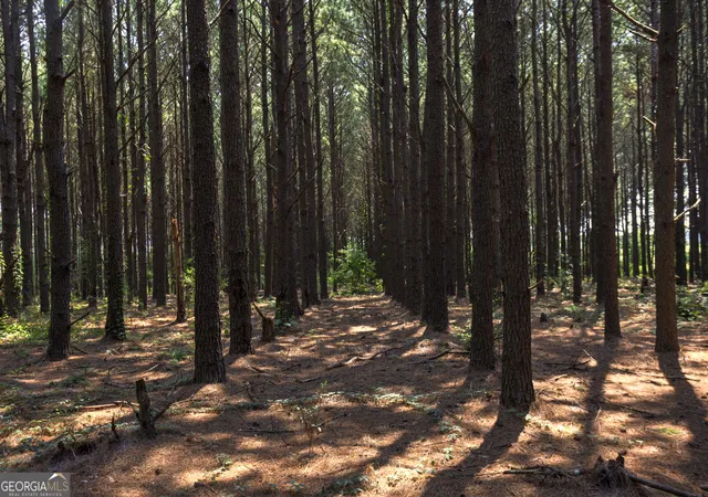 Photo 3 of Land for sale at 0 Northern County Line Rd, Unadilla, GA 31091 | MLS# 10816741 | Listing updated on 2026-08-22