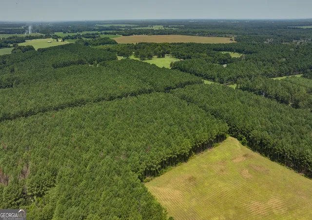 Photo 3 of Land for sale at 0 Northern County Line Rd, Unadilla, GA 31091 | MLS# 10816741 | Listing updated on 2026-08-22