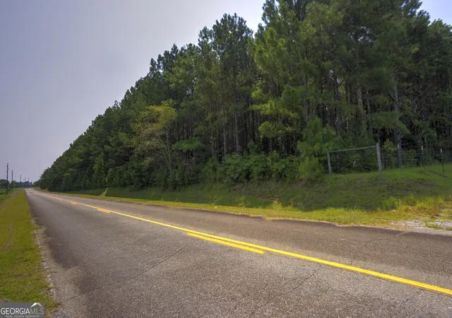Photo 4 of Land for sale at 0 Northern County Line Rd, Unadilla, GA 31091 | MLS# 10816741 | Listing updated on 2026-08-22