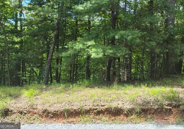 Photo 1 of Land for sale at 0 Crystal Ln #3284, Ellijay, GA 30540 | MLS# 10809956 | Listing updated on 2026-08-04