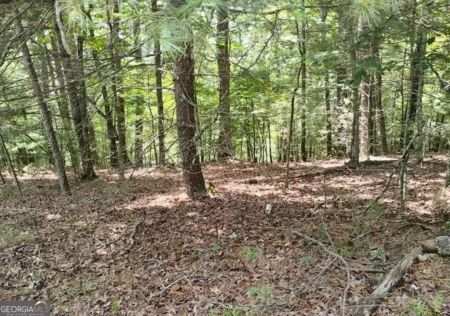 Photo 1 of Land for sale at 0 Crystal Ln #3284, Ellijay, GA 30540 | MLS# 10809956 | Listing updated on 2026-08-04