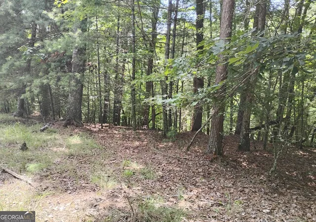 Photo 2 of Land for sale at 0 Crystal Ln #3284, Ellijay, GA 30540 | MLS# 10809956 | Listing updated on 2026-08-04