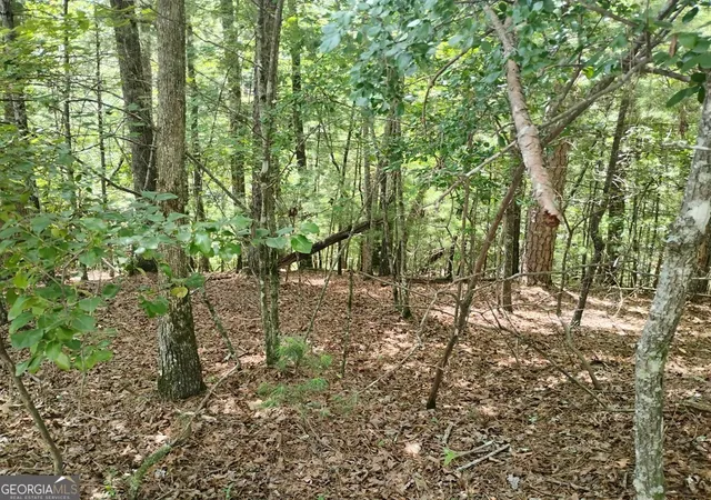 Photo 3 of Land for sale at 0 Crystal Ln #3284, Ellijay, GA 30540 | MLS# 10809956 | Listing updated on 2026-08-04