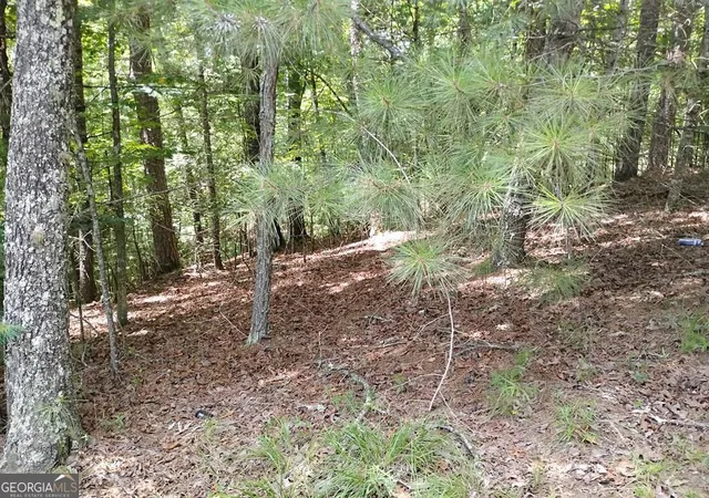Photo 4 of Land for sale at 0 Crystal Ln #3284, Ellijay, GA 30540 | MLS# 10809956 | Listing updated on 2026-08-04