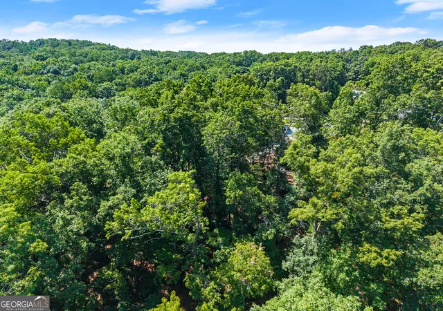 23rd image of 0 Flat Rock Pt, Dahlonega, GA 30533 | MLS# 10818712