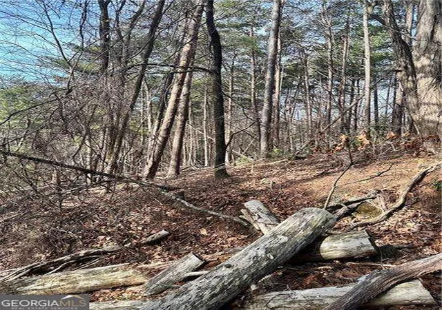 Photo 1 of Land for sale at 0 Log Swamp Dr, Jasper, GA 30143 | MLS# 10723404 | Listing updated on 2026-04-16