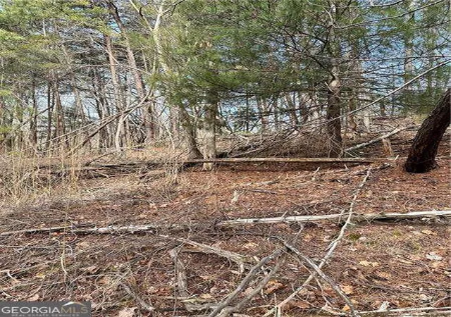 Photo 1 of Land for sale at 0 Log Swamp Dr, Jasper, GA 30143 | MLS# 10723404 | Listing updated on 2026-04-16