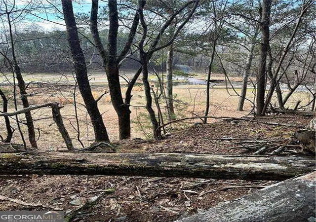Photo 2 of Land for sale at 0 Log Swamp Dr, Jasper, GA 30143 | MLS# 10723404 | Listing updated on 2026-04-16