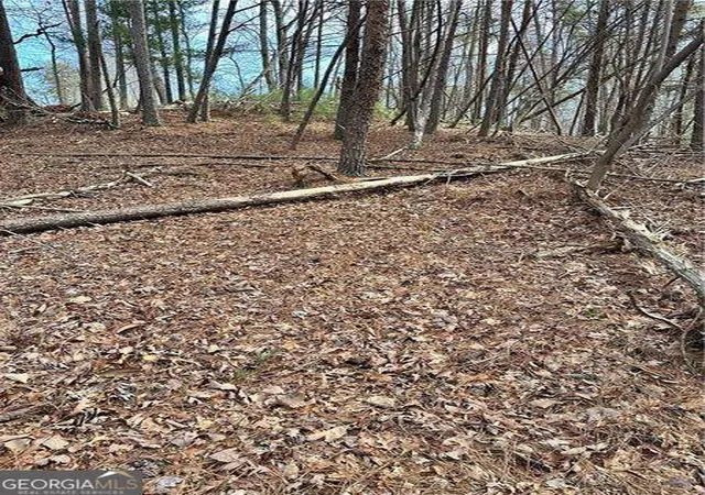 Photo 3 of Land for sale at 0 Log Swamp Dr, Jasper, GA 30143 | MLS# 10723404 | Listing updated on 2026-04-16