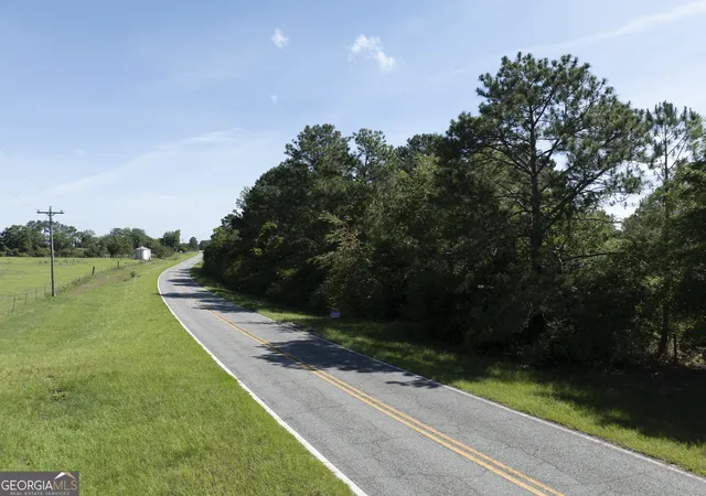 Land for sale at 0 Scotland Rd, Alamo, GA 30411 | MLS# 10774557