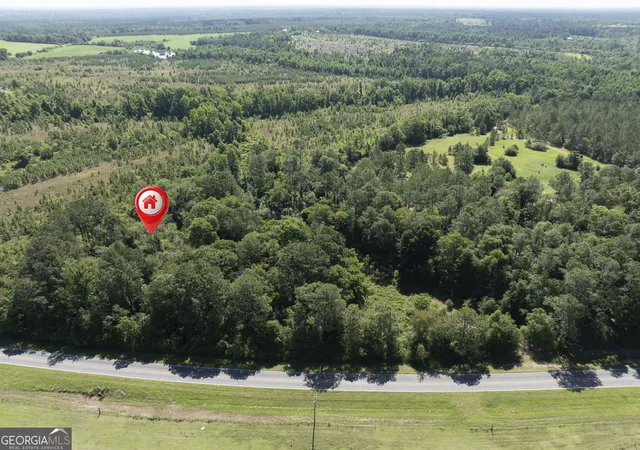 Photo 3 of Land for sale at 0 Scotland Rd, Alamo, GA 30411 | MLS# 10774557 | Listing updated on 2026-09-19