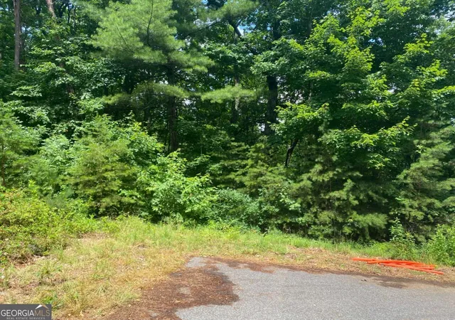 2nd image of 0 Sunrise Rdg #LOT 28, Blairsville, GA 30512 | MLS# 10815746