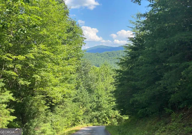 6th image of 0 Sunrise Rdg #LOT 28, Blairsville, GA 30512 | MLS# 10815746