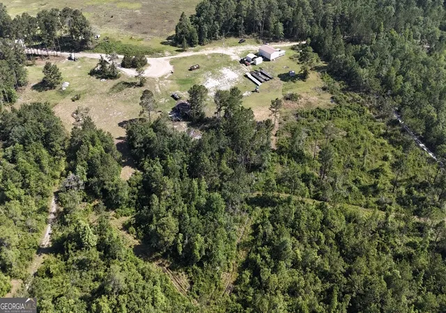Photo 4 of Land for sale at 1087 Green Morgan School Rd, Clyo, GA 31303 | MLS# 10780870 | Listing updated on 2026-09-23