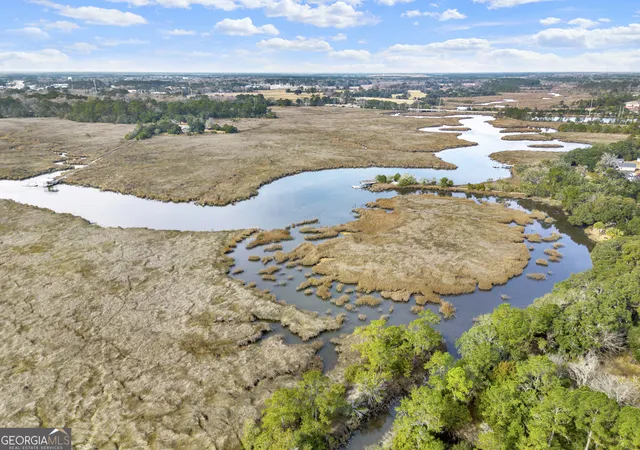 Photo 4 of Land for sale at 193 Burton Rd, Savannah, GA 31405 | MLS# 10614418 | Listing updated on 2026-10-28