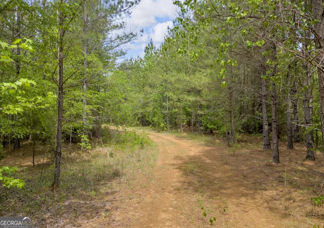 Homes for sale in Crawfordville, GA | 0 Upper Mill Rd, Crawfordville, GA 30631 | MLS# 10755072