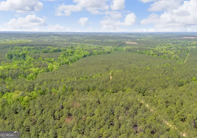 Homes for sale in Crawfordville, GA | 0 Upper Mill Rd, Crawfordville, GA 30631 | MLS# 10755072