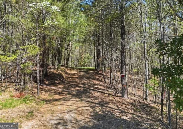 Photo 3 of Land for sale at 3094 Flatbottom Rd, Ball Ground, GA 30107 | MLS# 10732189 | Listing updated on 2026-06-18