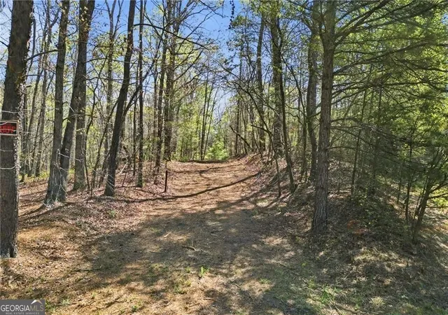 Photo 4 of Land for sale at 3094 Flatbottom Rd, Ball Ground, GA 30107 | MLS# 10732189 | Listing updated on 2026-06-18
