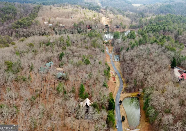 69th image of 143 Kaely Dr, Mineral Bluff, GA 30559 | MLS# 10816451