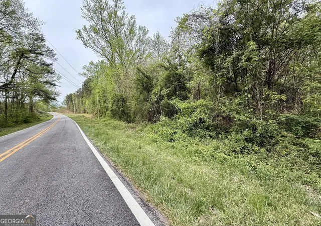 Homes for sale in Waco, GA | 0 Kansas Jake Rd, Waco, GA 30182 | MLS# 10780751