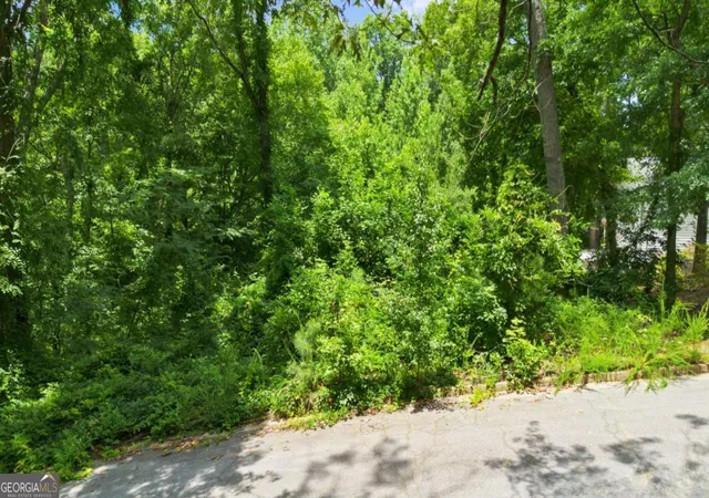 Photo 3 of Land for sale at 6804 Brookwood Ct, Douglasville, GA 30135 | MLS# 10800068 | Listing updated on 2026-07-20