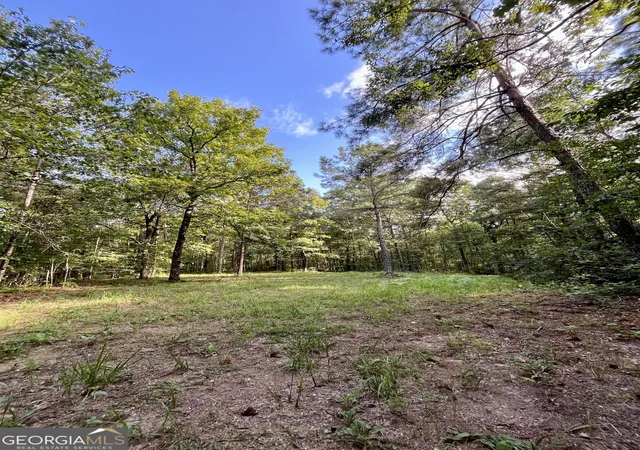 Photo 54 of Land for sale at 621 Rance Foster Rd, Bowdon, GA 30108 | MLS# 10565981 | Listing updated on 2026-05-25