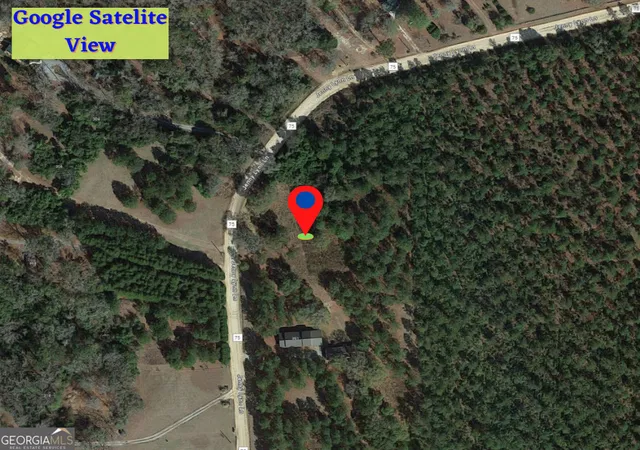 4th image of 1 Jenny Lynn Ln, Fort Gaines, GA 39851 | MLS# 10817342
