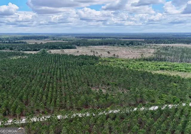 1st image of 17 Ac Owens Rd, Odum, GA 31555 | MLS# 10768703
