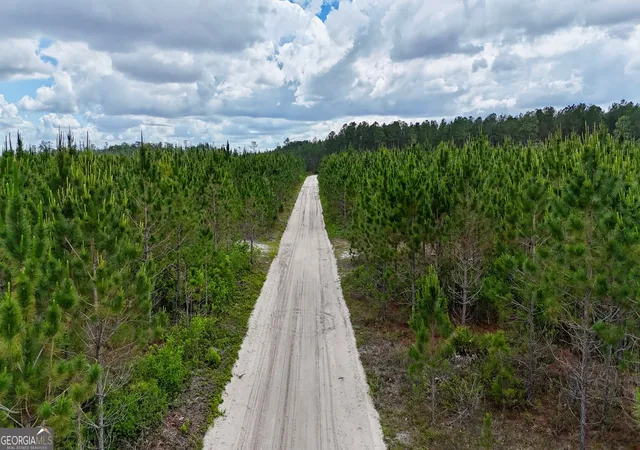 2nd image of 17 Ac Owens Rd, Odum, GA 31555 | MLS# 10768703