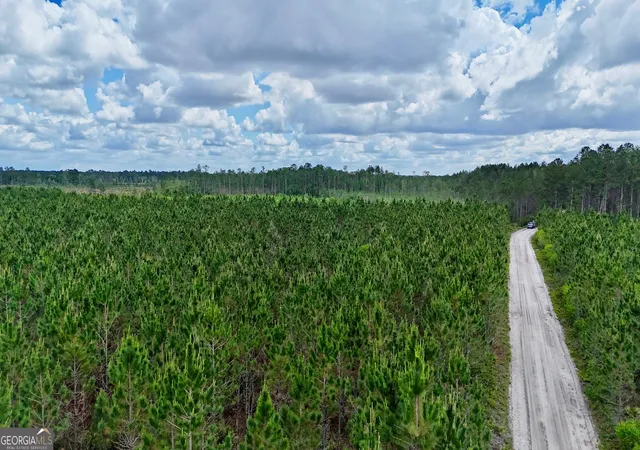 Photo 3 of Land for sale at 17 Ac Owens Rd, Odum, GA 31555 | MLS# 10768703 | Listing updated on 2026-09-28