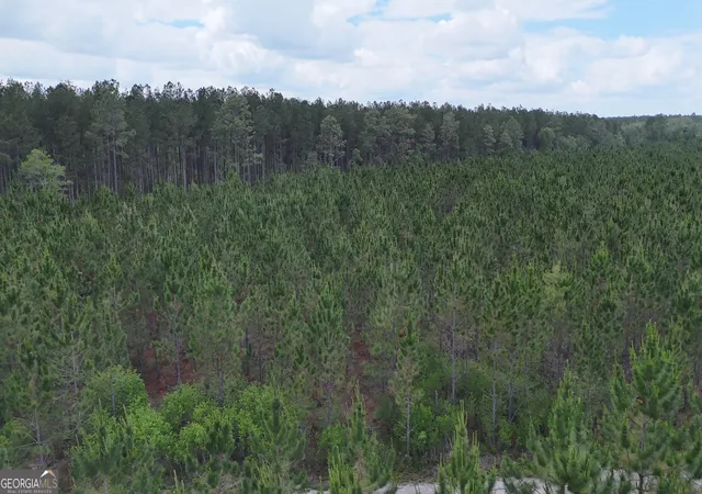 4th image of 17 Ac Owens Rd, Odum, GA 31555 | MLS# 10768703