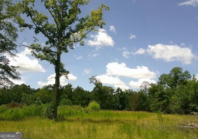 1st image of 0 Hwy 221 S, Kite, GA 31049 | MLS# 10825788