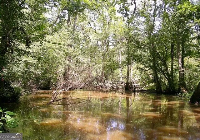 2nd image of 0 Hwy 221 S, Kite, GA 31049 | MLS# 10825788