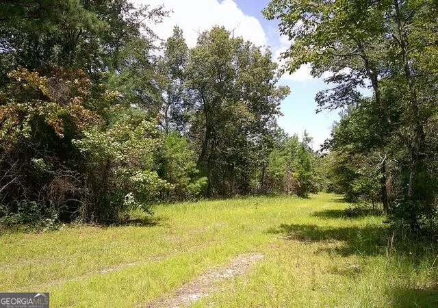 3rd image of 0 Hwy 221 S, Kite, GA 31049 | MLS# 10825788