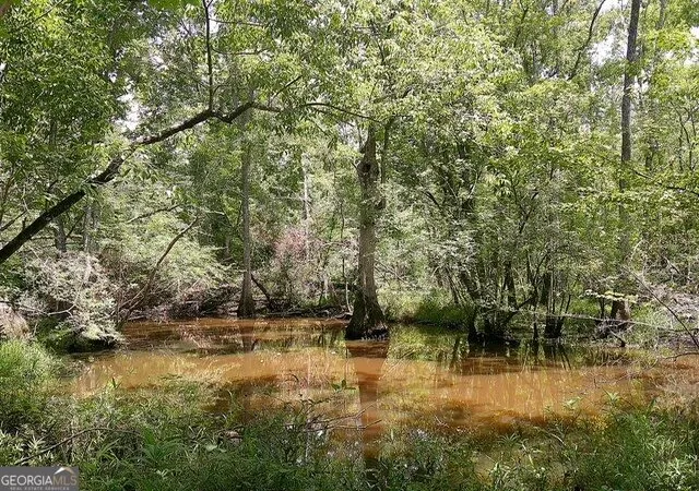 4th image of 0 Hwy 221 S, Kite, GA 31049 | MLS# 10825788