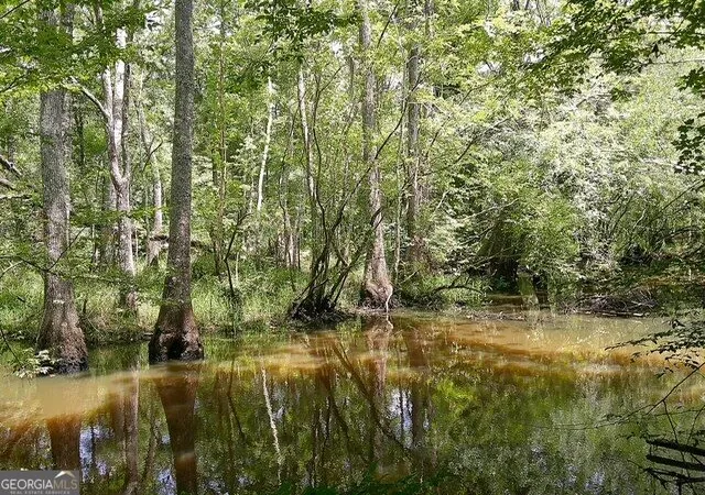 5th image of 0 Hwy 221 S, Kite, GA 31049 | MLS# 10825788
