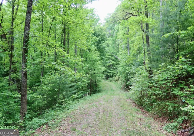 1st image of 0 Bluff Mtn, Dillard, GA 30537 | MLS# 10779336