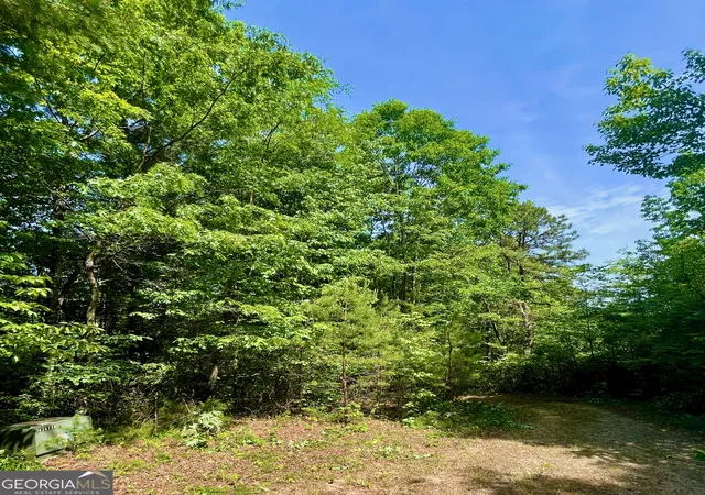 2nd image of 0 Bluff Mtn, Dillard, GA 30537 | MLS# 10779336