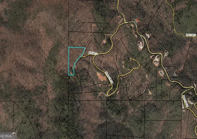 3rd image of 0 Bluff Mtn, Dillard, GA 30537 | MLS# 10779336