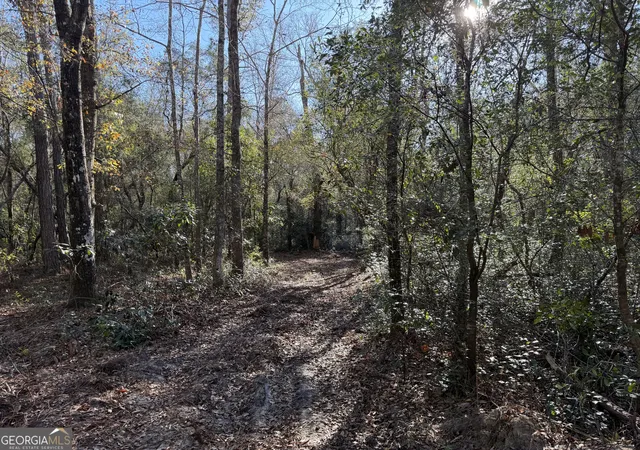 Photo 1 of Land for sale at 3833 Old Louisville Rd, Guyton, GA 31312 | MLS# 10665869 | Listing updated on 2026-08-31