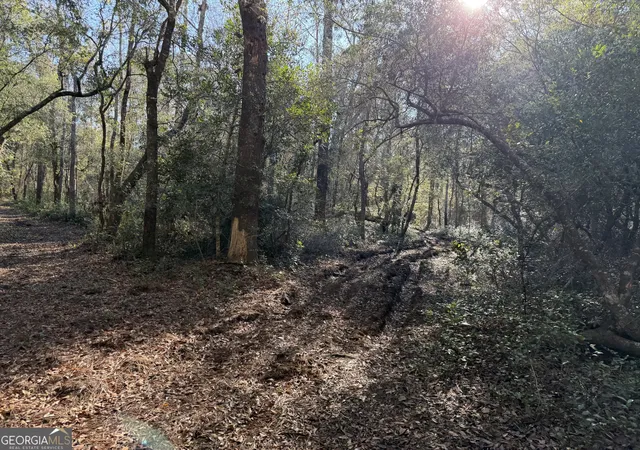 Photo 2 of Land for sale at 3833 Old Louisville Rd, Guyton, GA 31312 | MLS# 10665869 | Listing updated on 2026-08-31