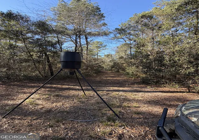 Photo 3 of Land for sale at 3833 Old Louisville Rd, Guyton, GA 31312 | MLS# 10665869 | Listing updated on 2026-08-31